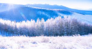 冬期特別講習について